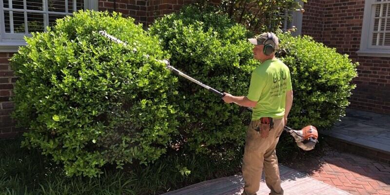 Pruning