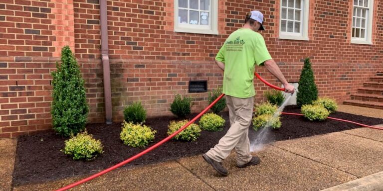 best-watering-guidelines-for-newly-installed-plants