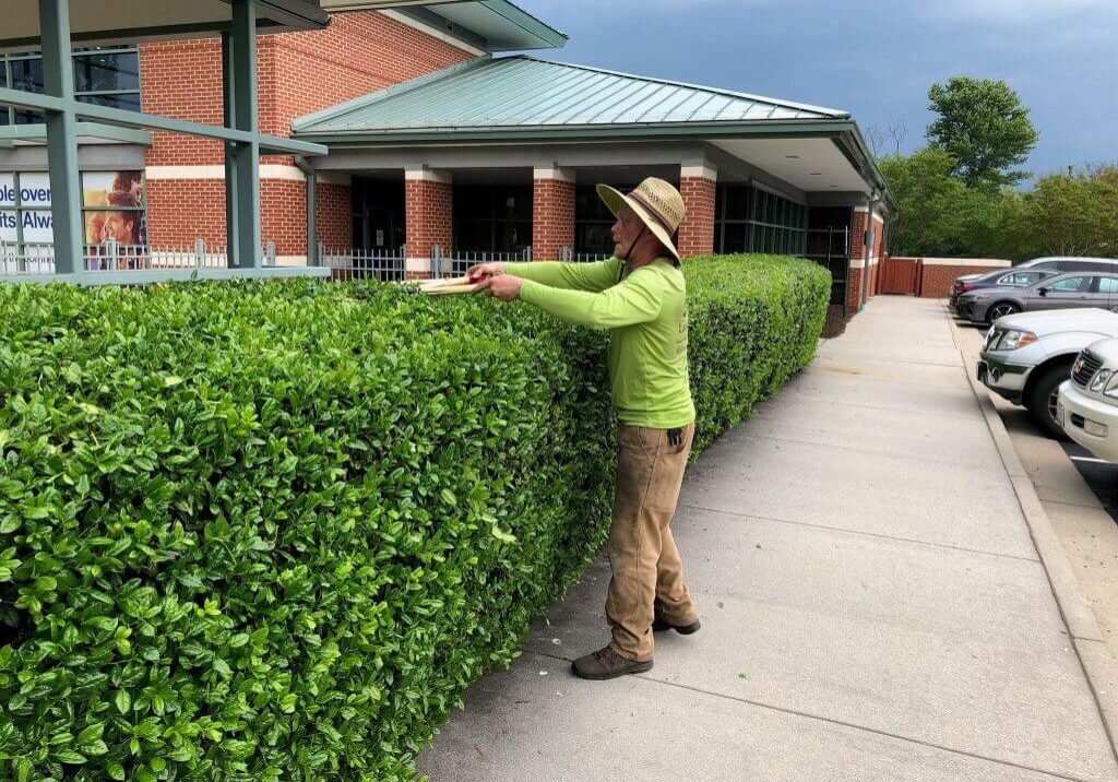 VA Landscape Maintenance VA Landscape Maintenance