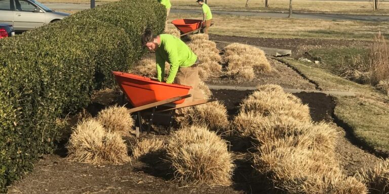 Richmond VA Landscaping Maintenance