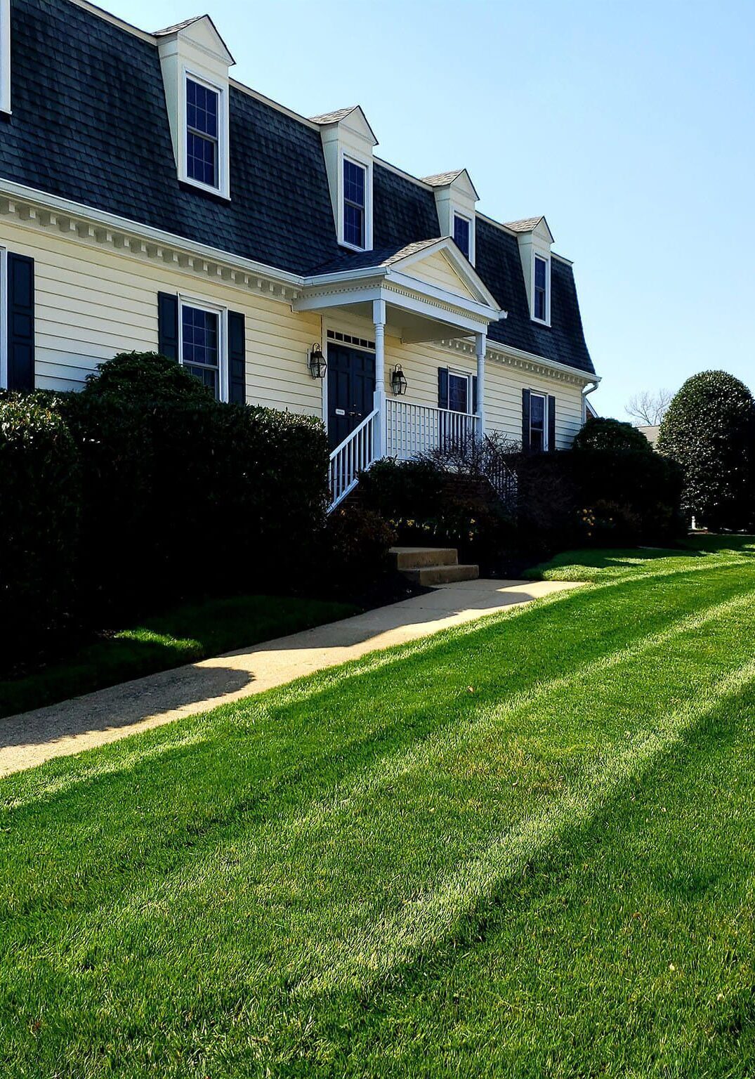 Professional Lawn Mowing Services in Richmond, VA