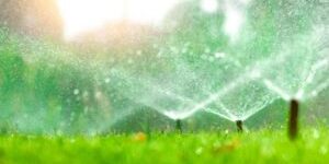 watering-300x169